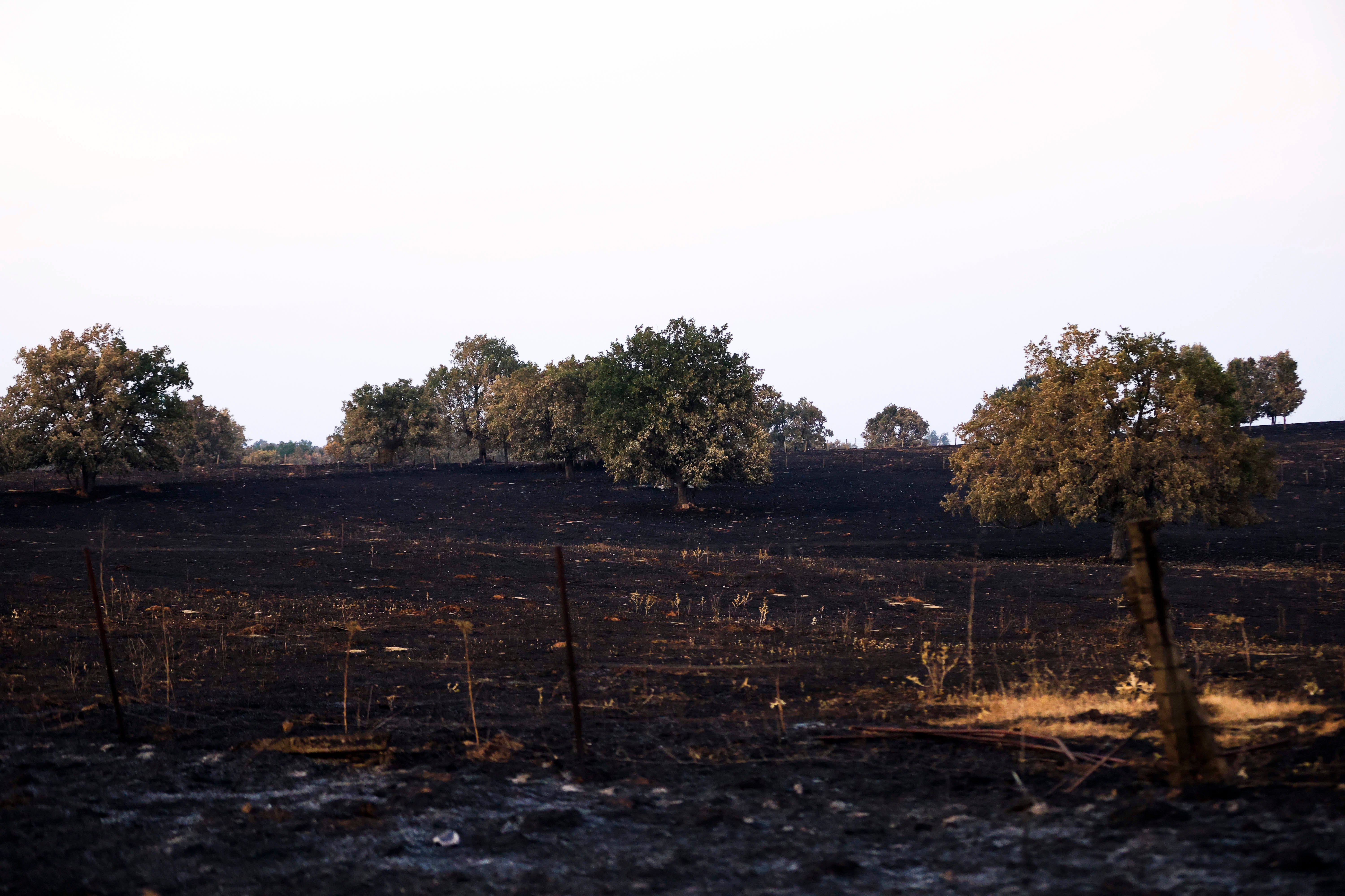 En imágenes, el rastro negro del mayor incendio de la provincia de Salamanca