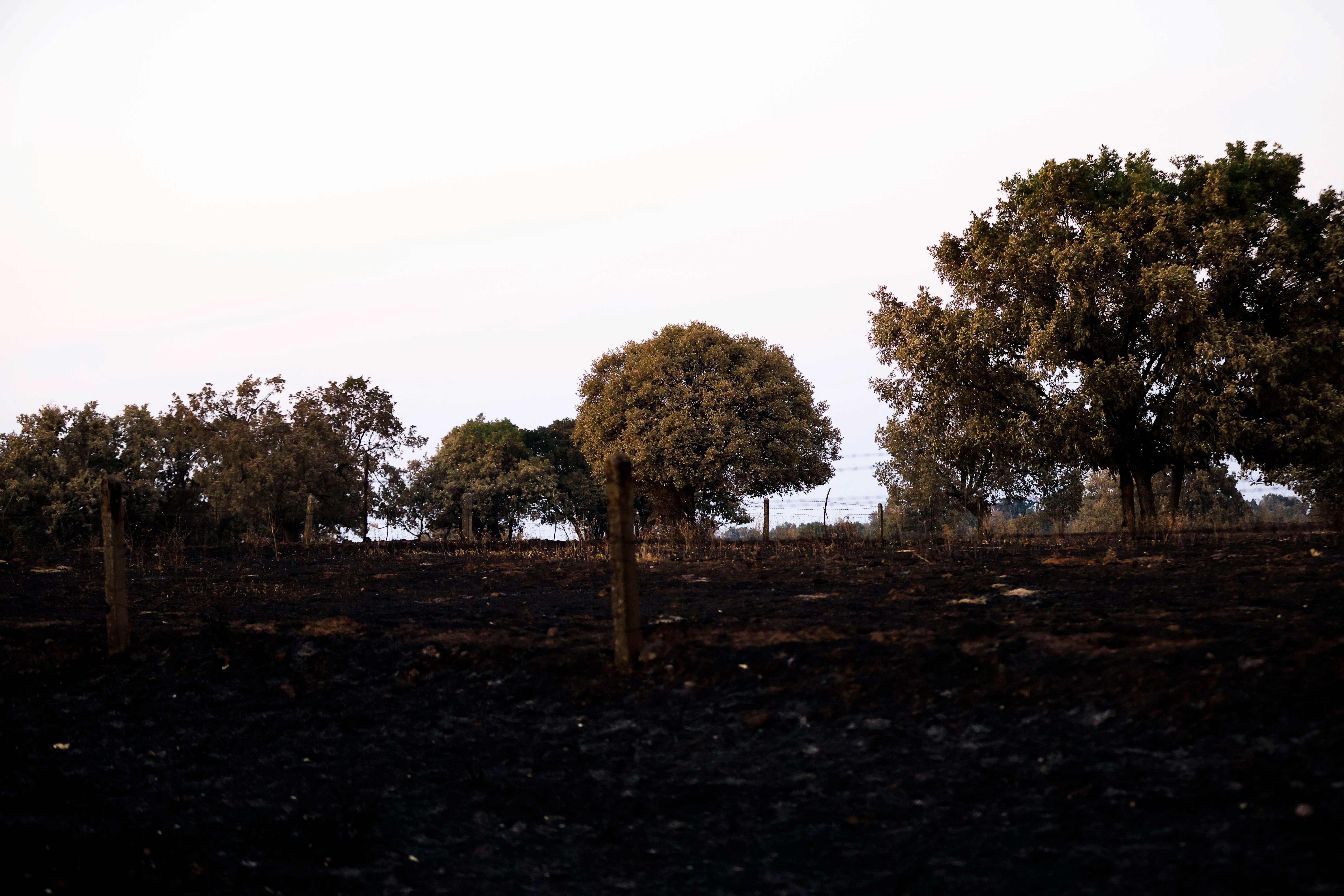 En imágenes, el rastro negro del mayor incendio de la provincia de Salamanca