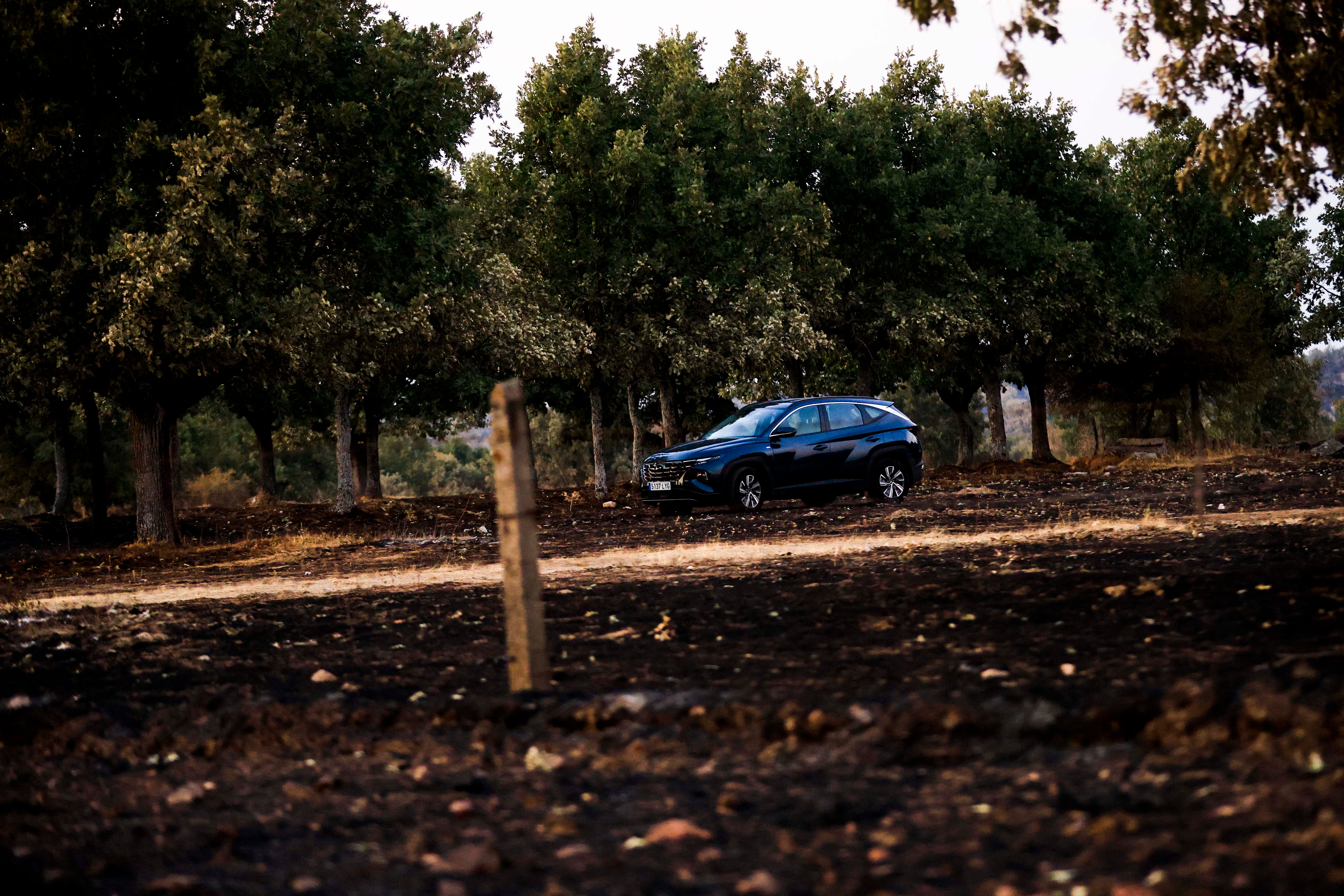 En imágenes, el rastro negro del mayor incendio de la provincia de Salamanca