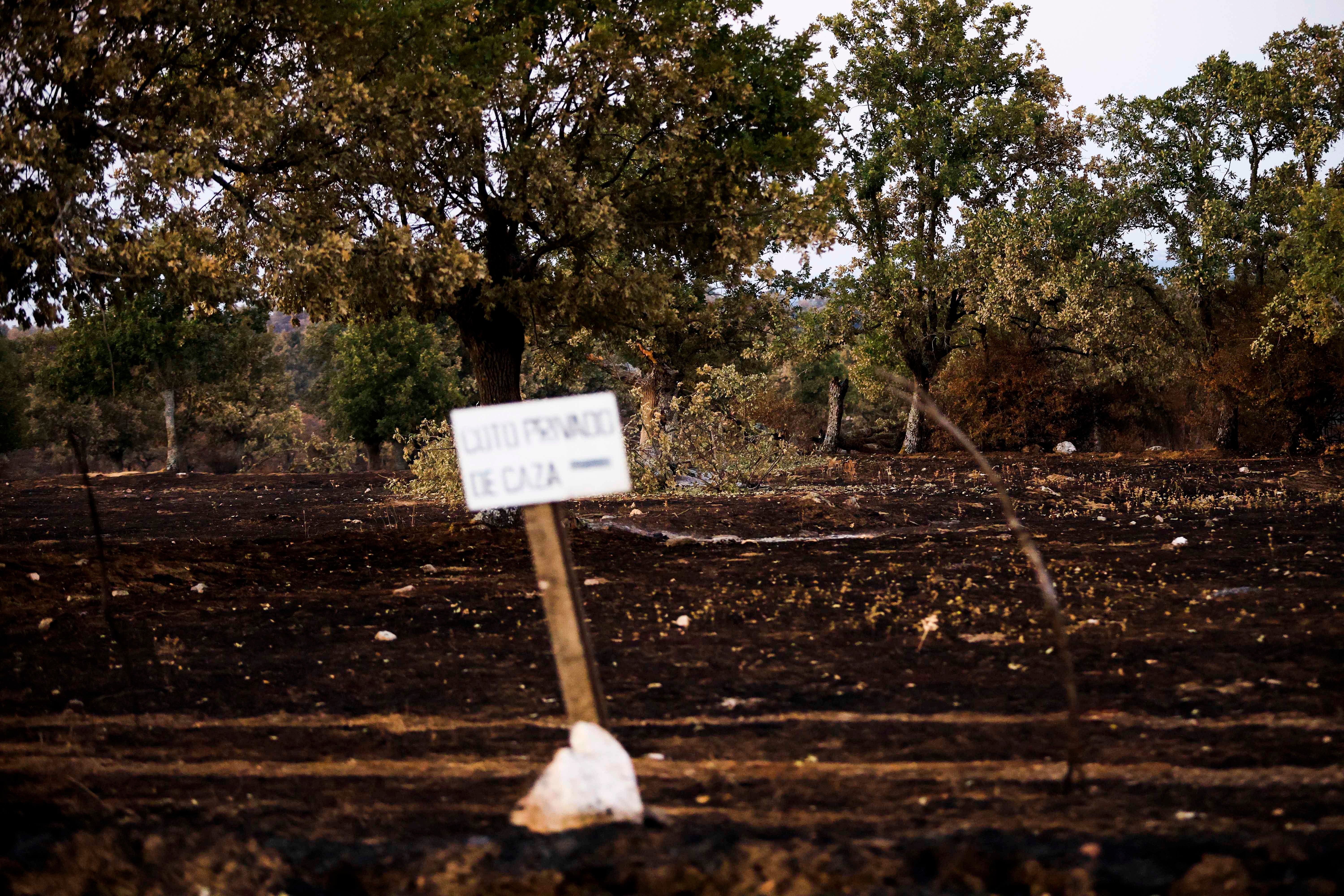 En imágenes, el rastro negro del mayor incendio de la provincia de Salamanca