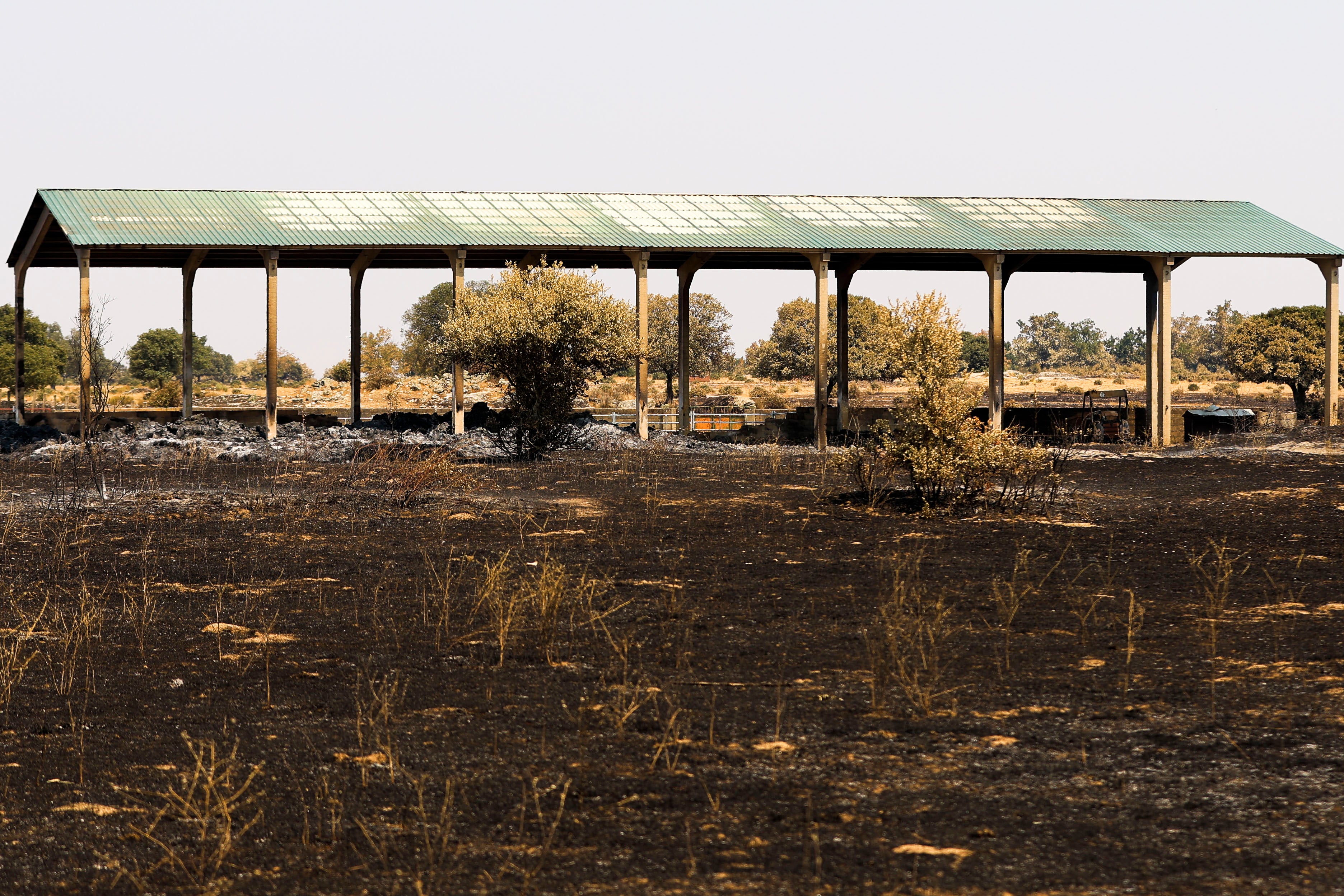 En imágenes, el rastro negro del mayor incendio de la provincia de Salamanca