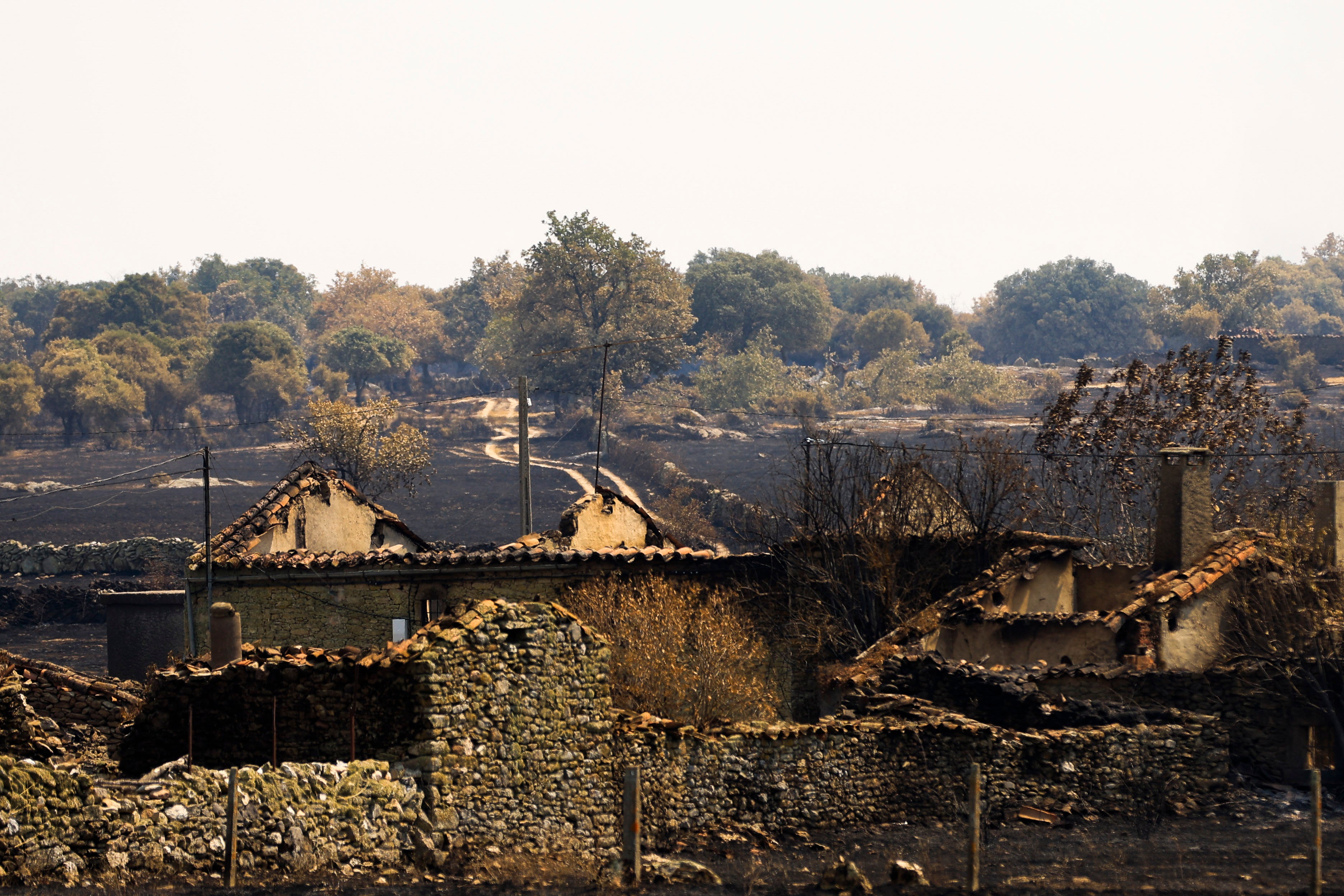 En imágenes, el rastro negro del mayor incendio de la provincia de Salamanca