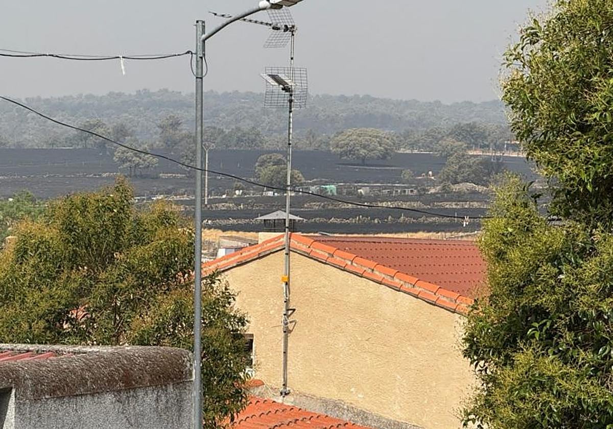 Parte de la superficie arrasada en Cipérez
