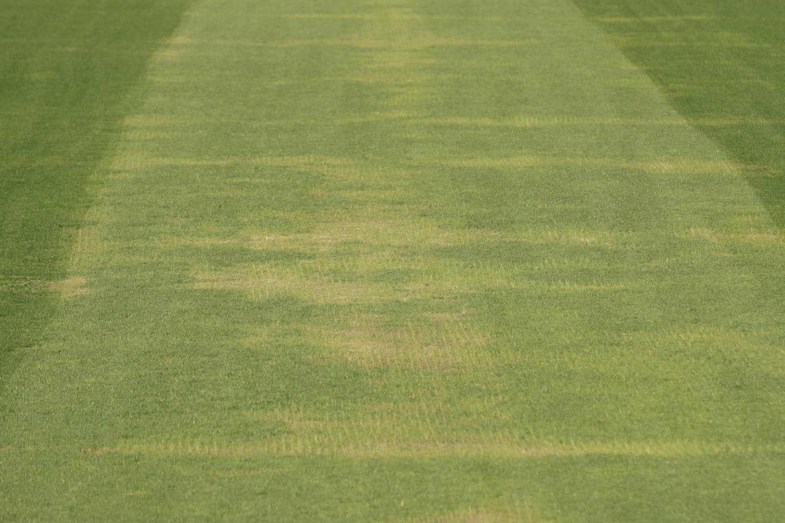 Así está el césped del Reina Sofía a cinco días para el comienzo de temporada