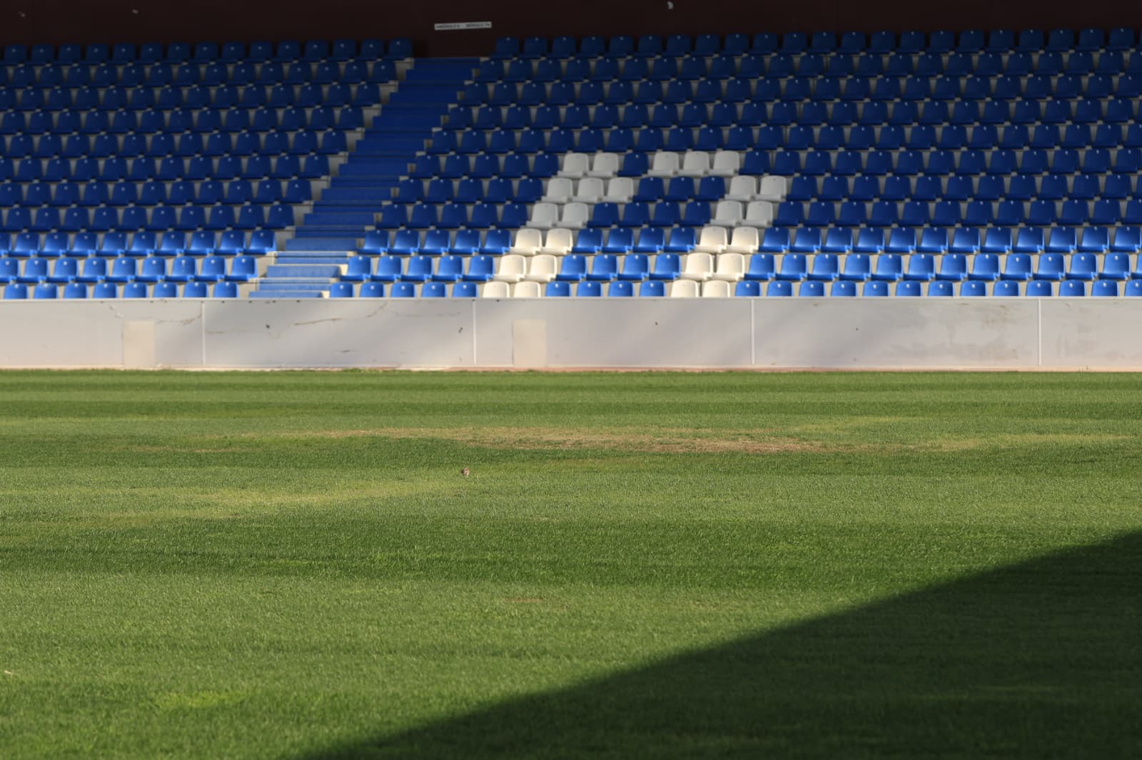 Así está el césped del Reina Sofía a cinco días para el comienzo de temporada