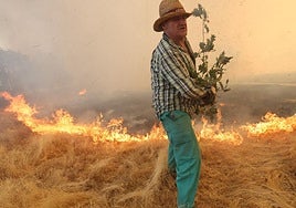 Trabajador del campo trata de apagar el fuego con unas ramas
