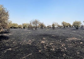 Incendio en un municipio de Salamanca
