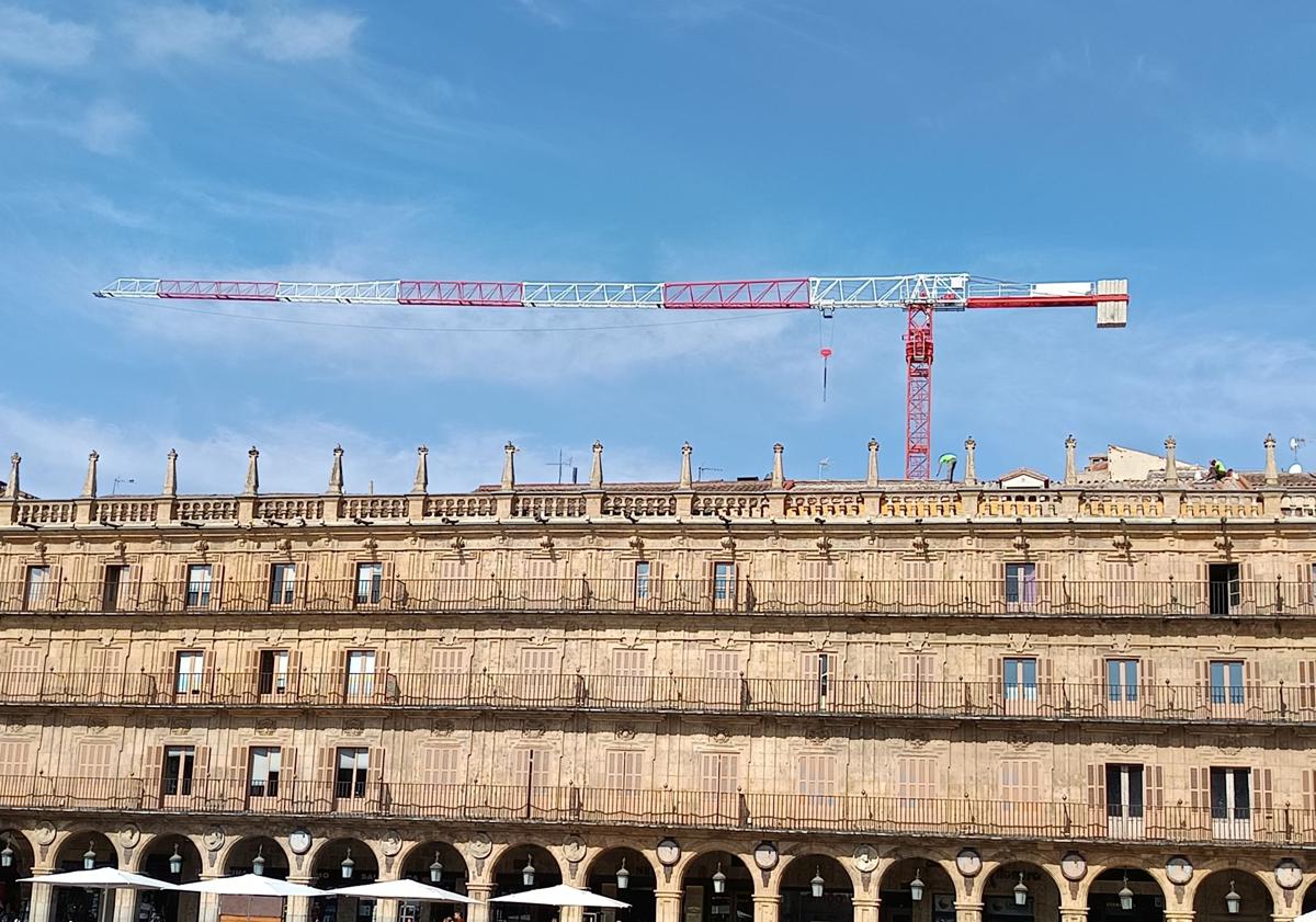 Imagem principal - O guindaste tem mais de 65 metros de tamanho e sobe da SPOZ e MINA Street.