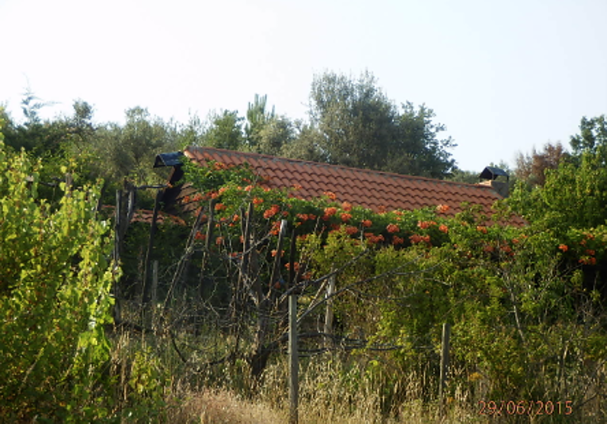 Cabaña en venta en Villanueva del Conde