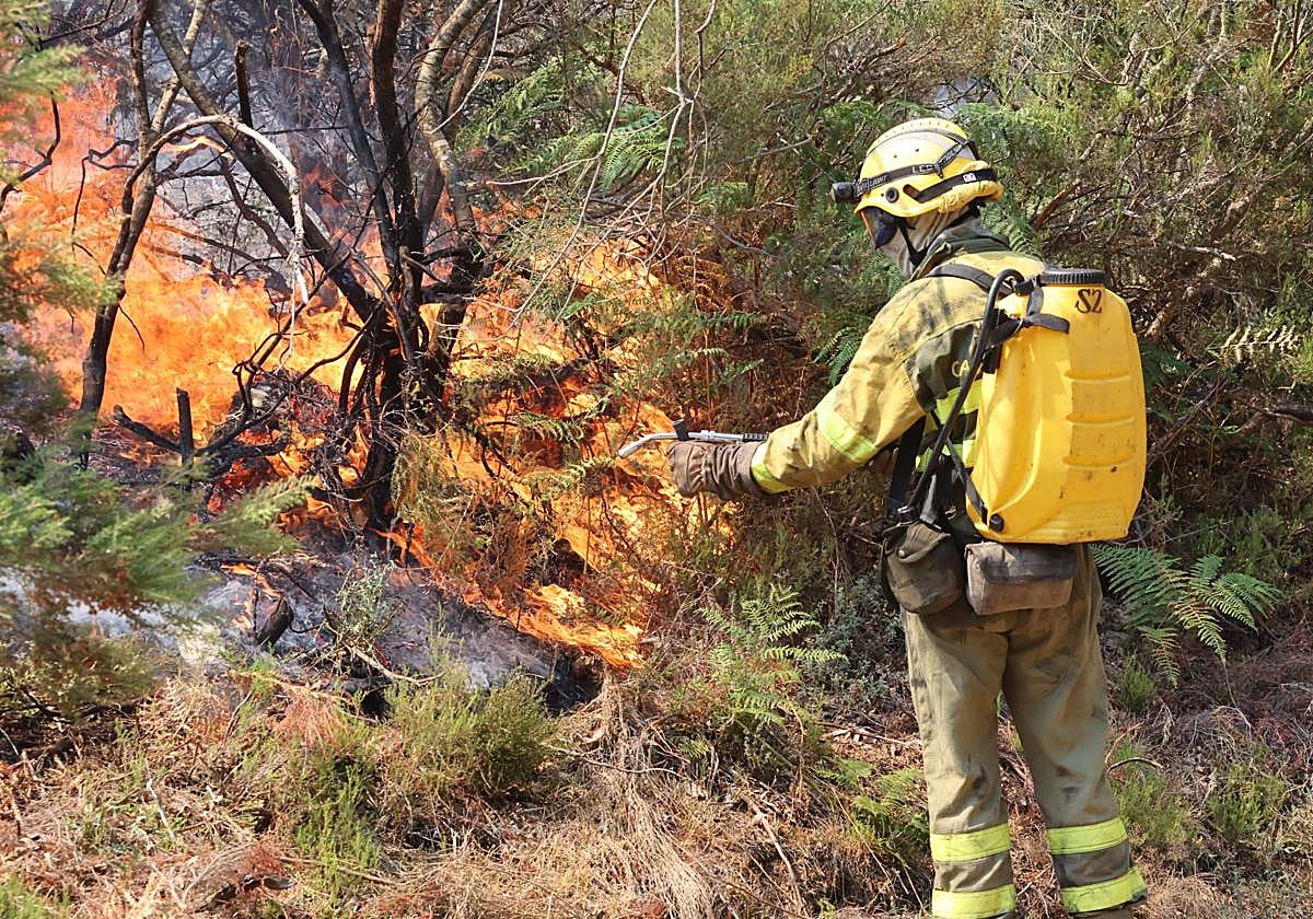 Los bomberos trabajando en un incendio en La Alberca.