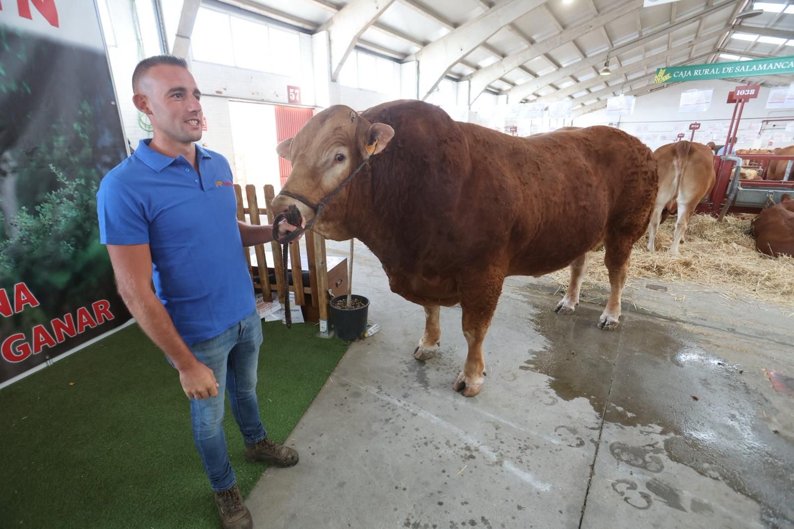 Así ha sido el comienzo de Salamaq, la tradicional cita de Salamanca con el campo