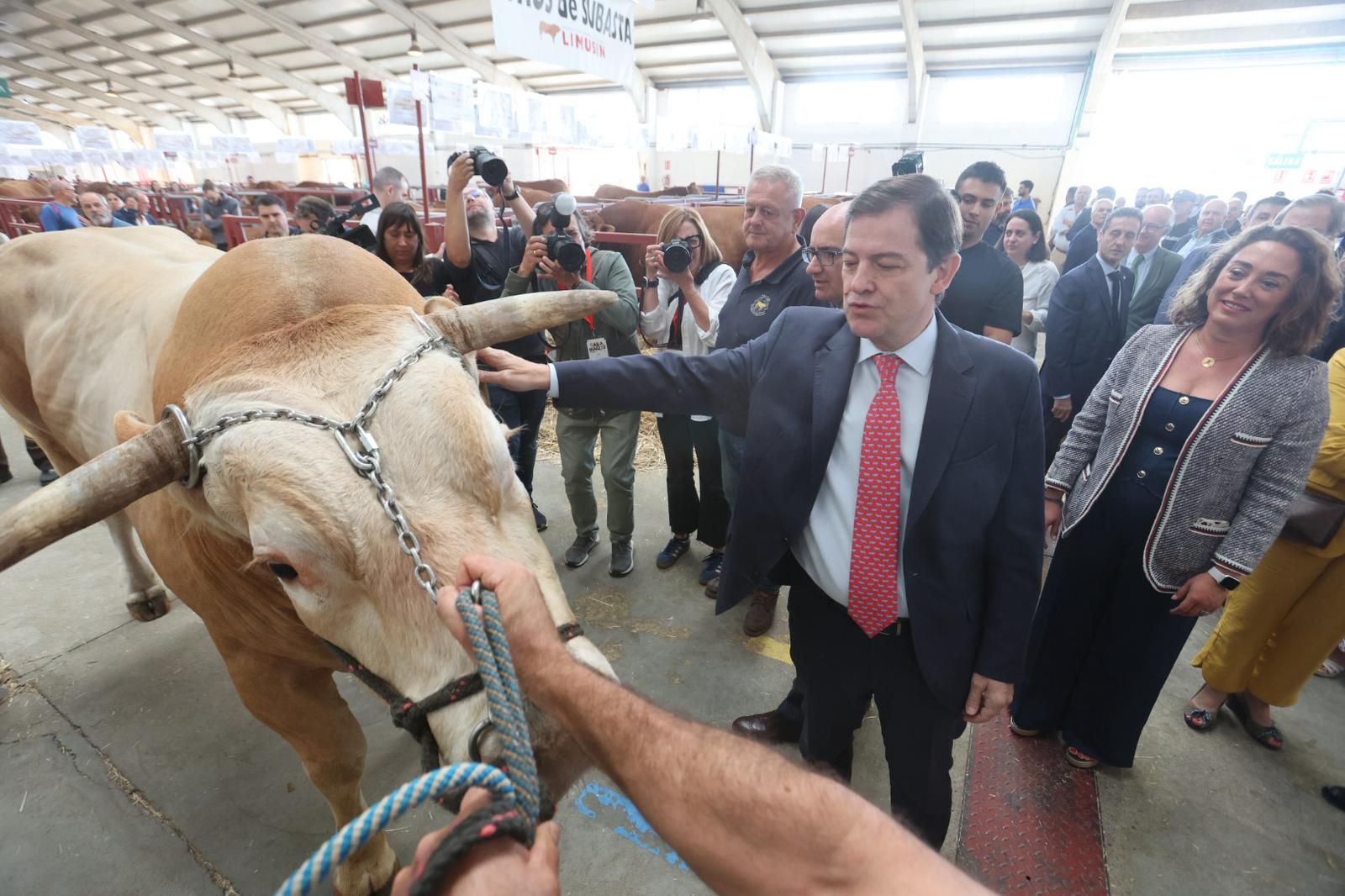 Así ha sido el comienzo de Salamaq, la tradicional cita de Salamanca con el campo