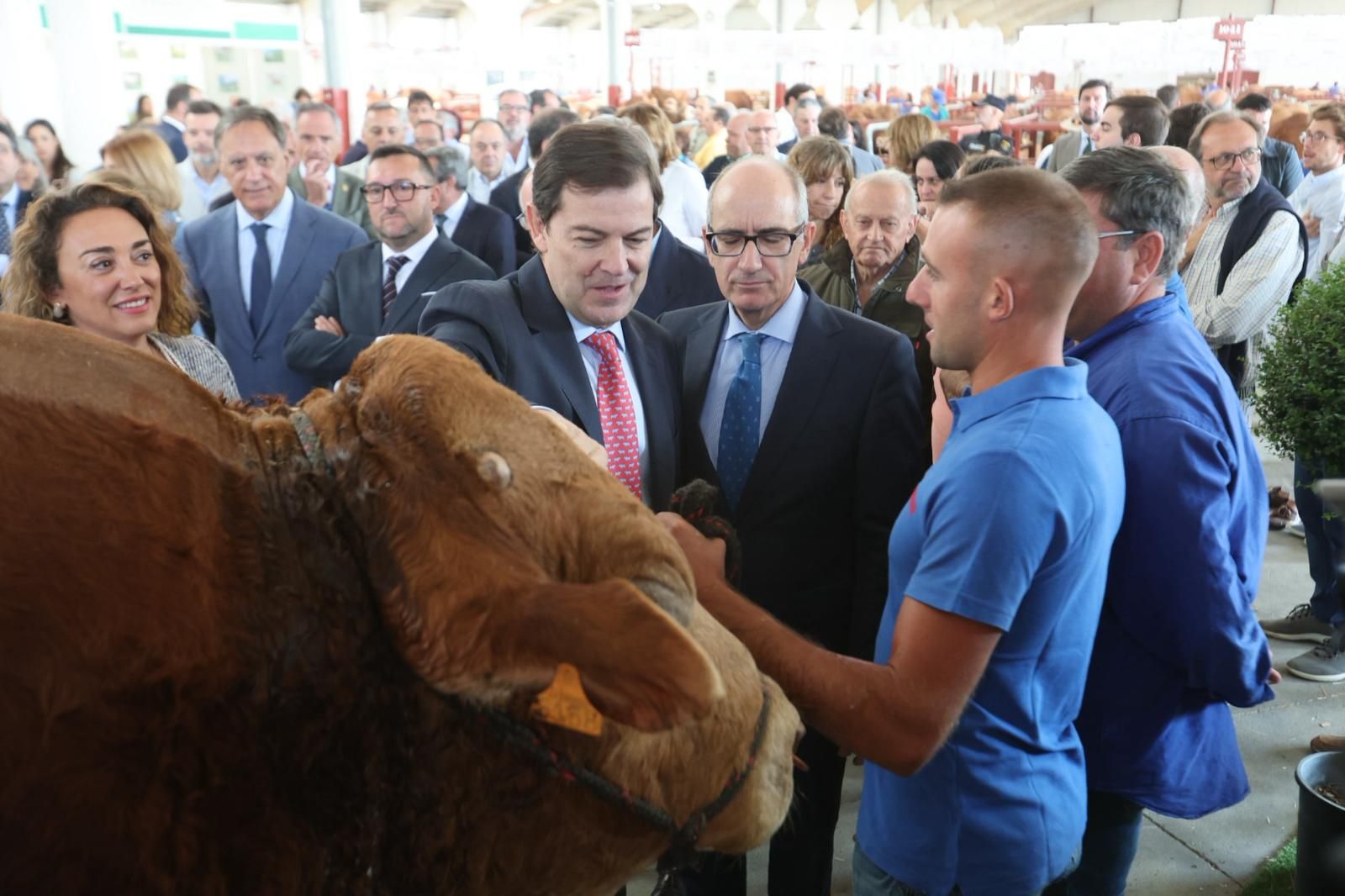 Así ha sido el comienzo de Salamaq, la tradicional cita de Salamanca con el campo