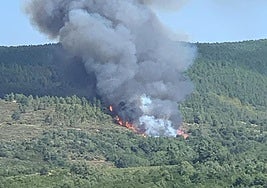 El incendio de Garcibuey, activo en una zona arbolada.
