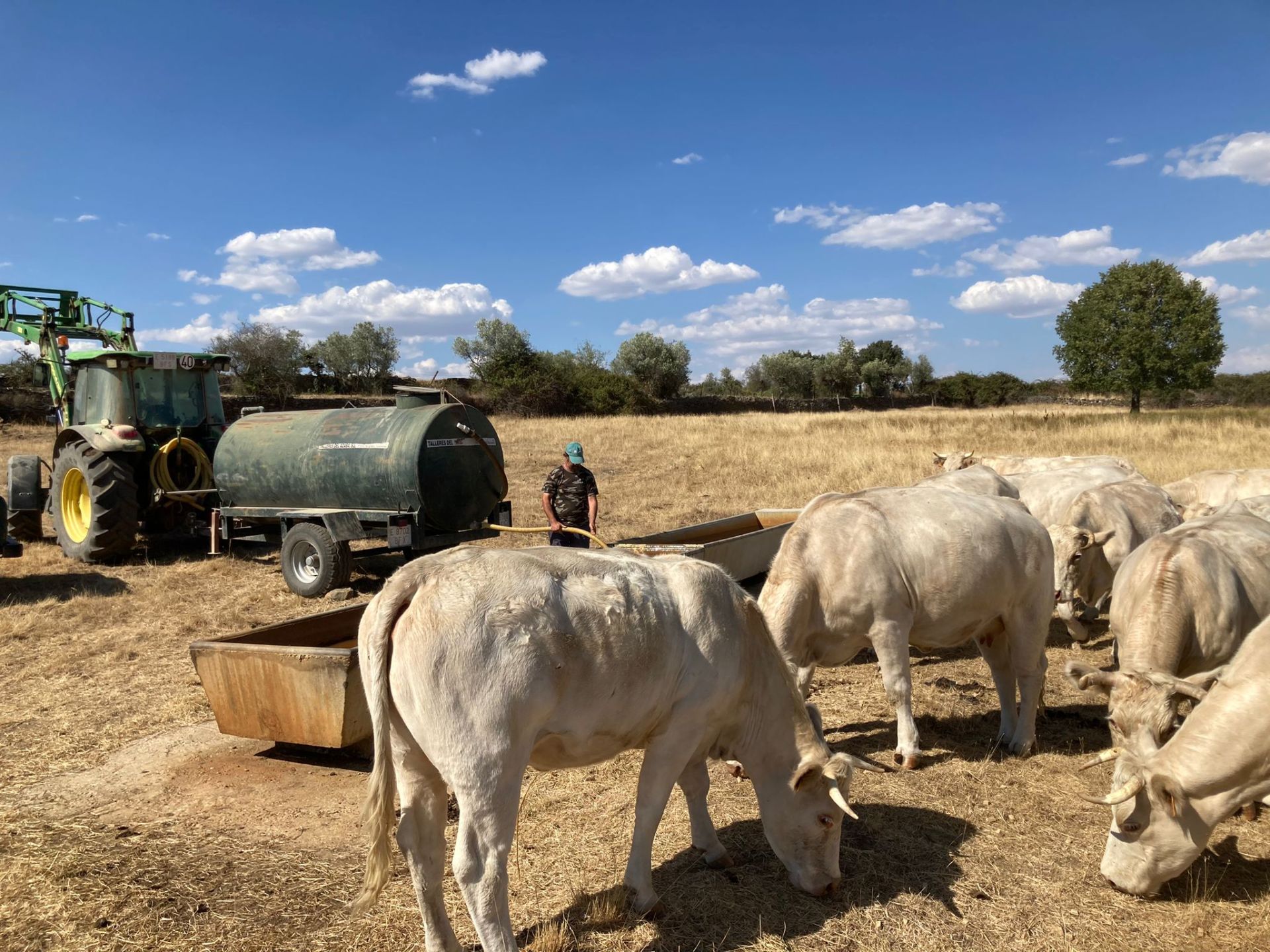 Finca ganadera en San Felices de los Gallegos.