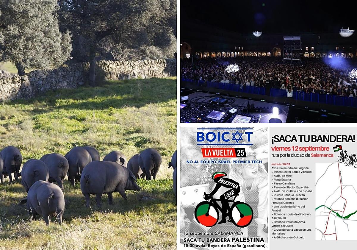 Las noticias imprescindibles de Salamanca este jueves 11 de septiembre