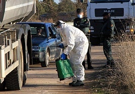 Foto de archivo de un caso de gripe aviar en Castilla y León