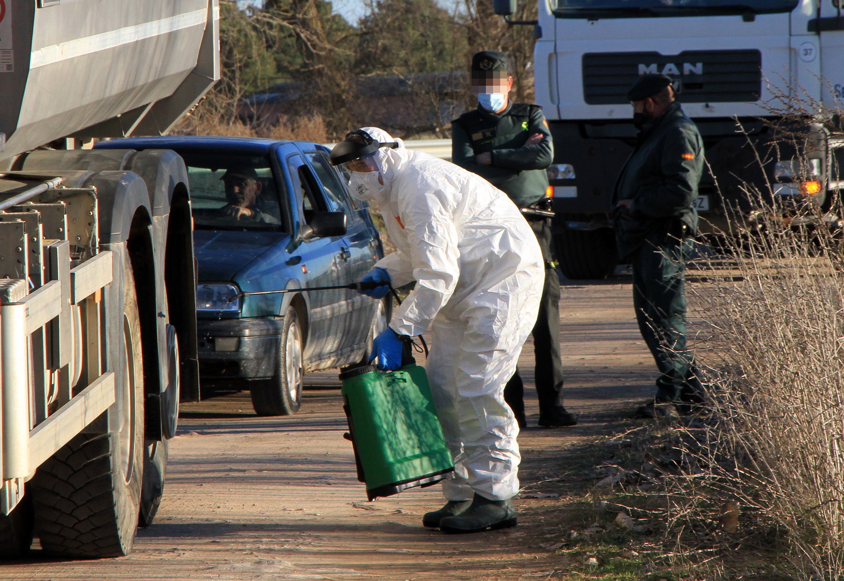 Foto de archivo de un caso de gripe aviar en Castilla y León