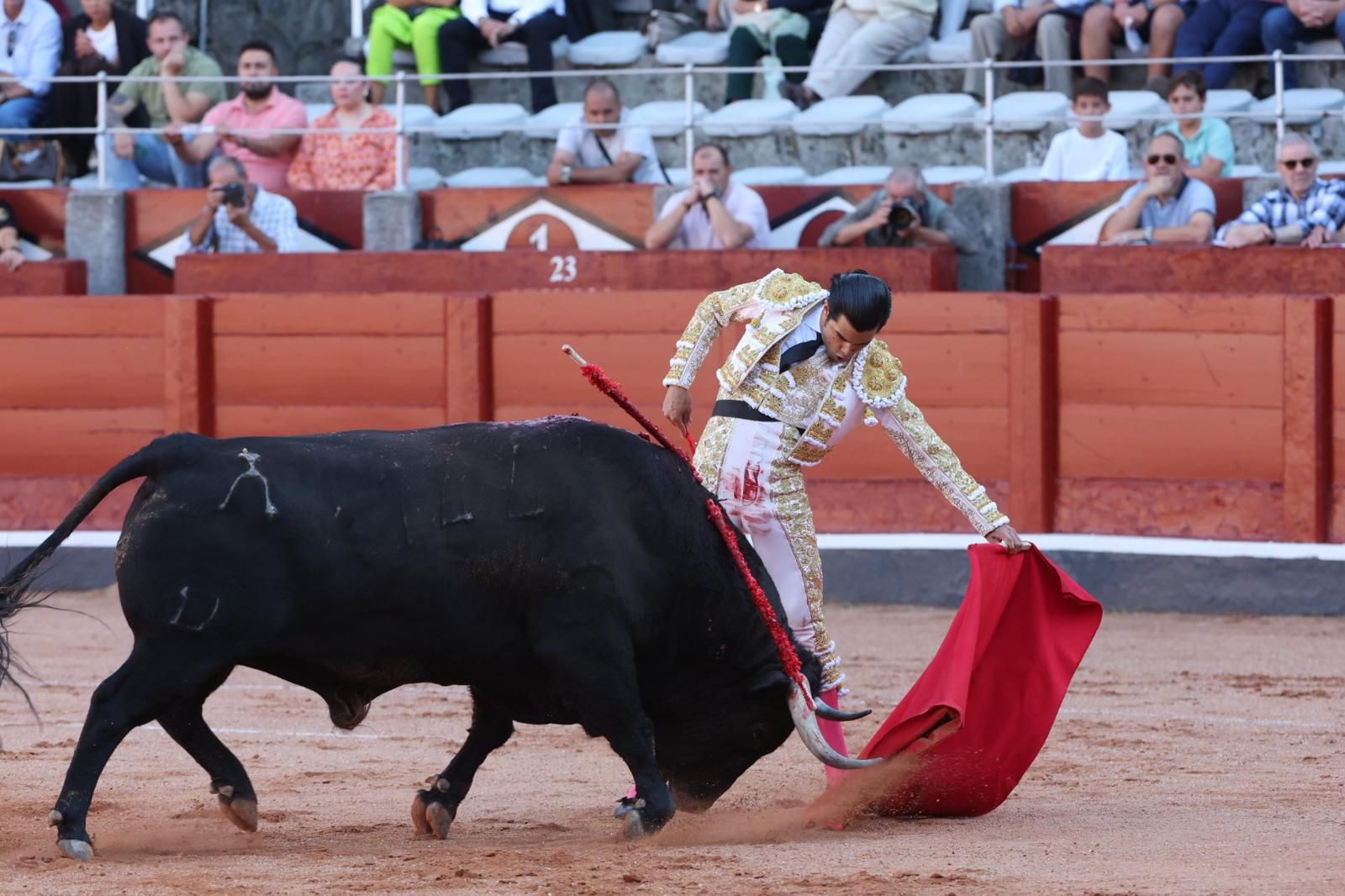 Tres orejas para Ismael Martín y traslado de Damián Castaño al hospital en la segunda de abono de Salamanca
