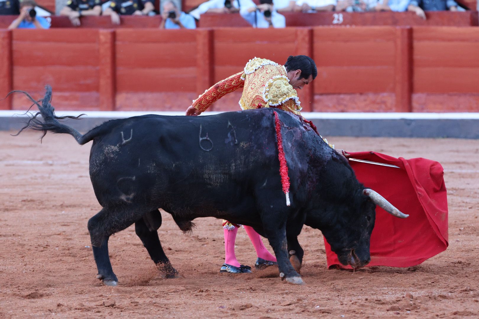 Puerta grande para Emilio de Justo con toro indultado en el cuarto de la tarde