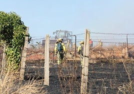 En imágenes, la actuación de los bomberos en Salamanca por un fuego en Vistahermosa
