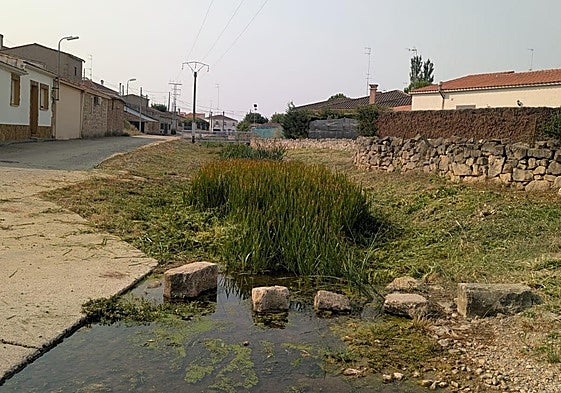 Arroyo en la localidad salmantina de Rollán.