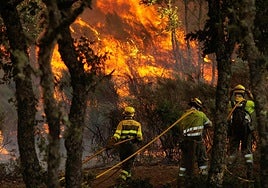 Los bomberos intentan apagar el incendio de El Payo en Salamanca del pasado 15 de agosto.