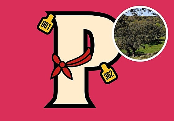 La Penúltima, la fiesta con la que tres jóvenes salmantinos quieren dar voz al mundo rural