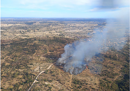 Incendio forestal en Mieza.