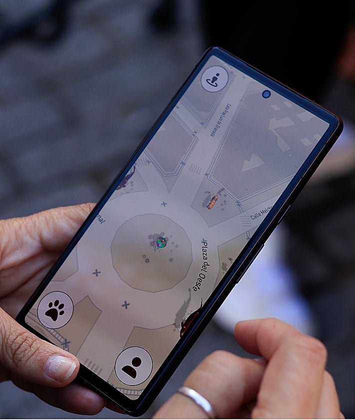 Imagen secundaria 2 - Una app creada en Salamanca para que los niños vean menos pantallas y vuelvan a la naturaleza