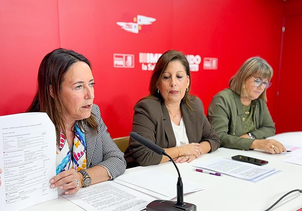 Rosa Rubio, María García y Lourdes Rubio, en las instalaciones del PSOE.