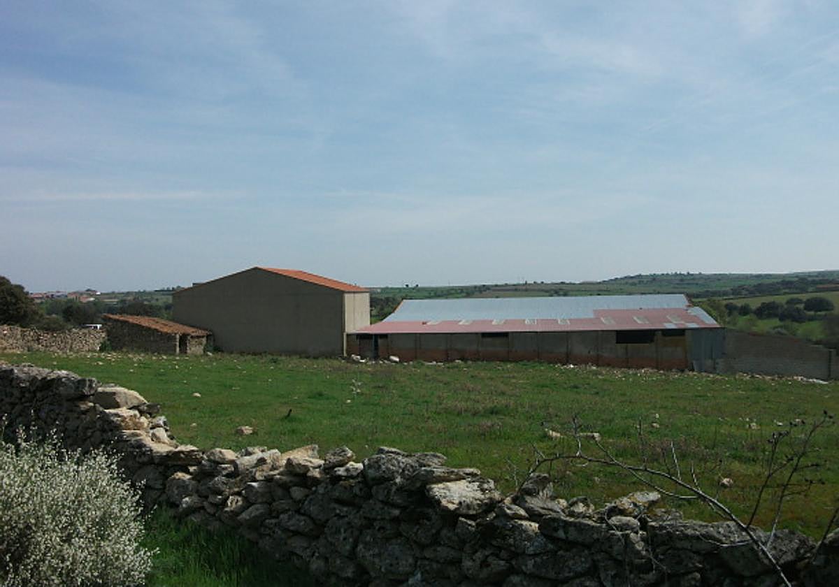 Las naves construidas en la finca donde irá la explotación ganadera.
