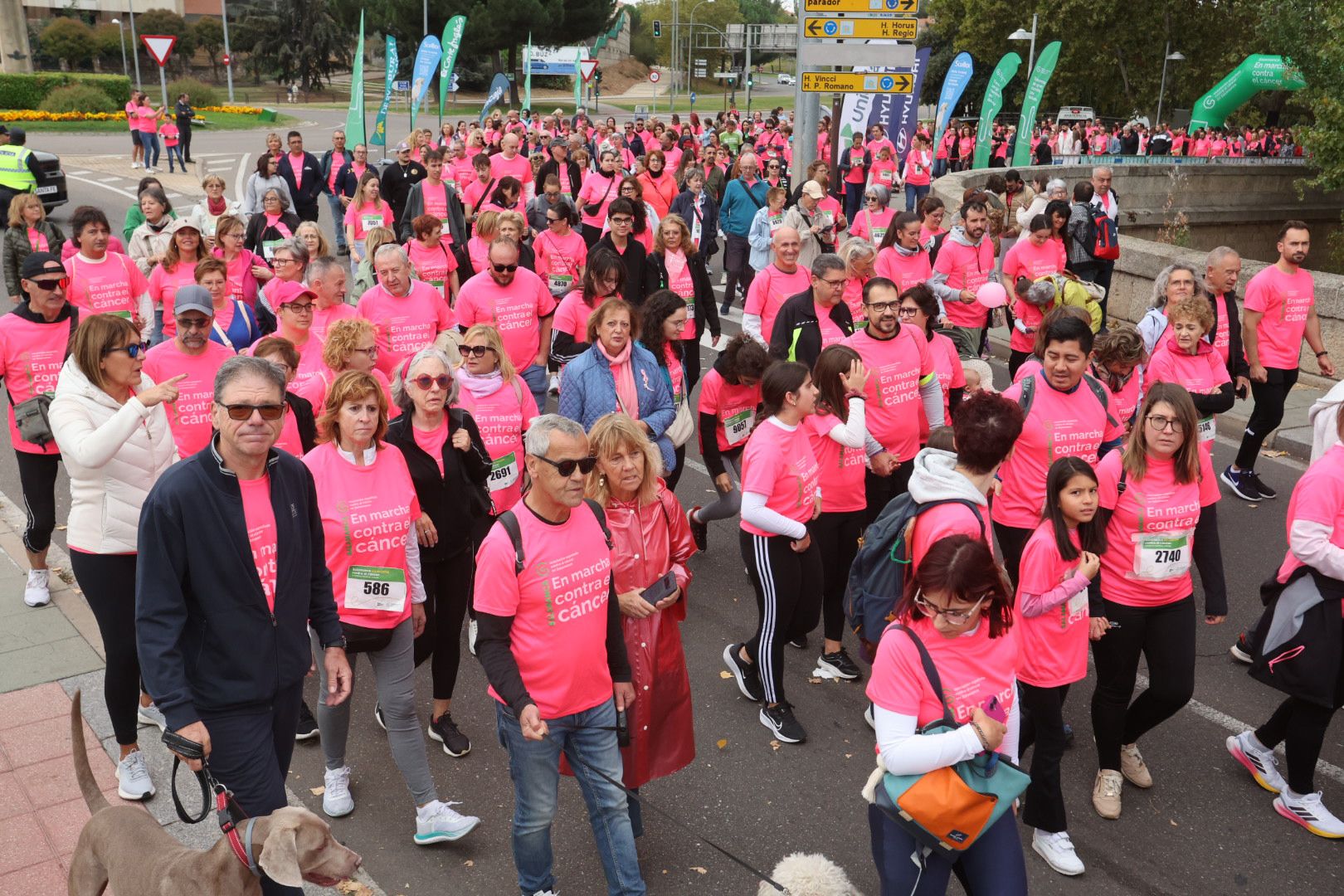 Salamanca ve la vida de color de rosa en la XI Marcha Contra el Cáncer