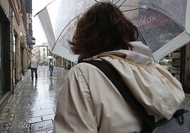 Una persona pasea con su paraguas por una céntrica calle de Salamanca.