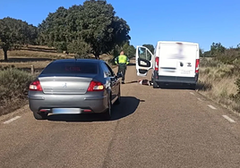 Detenido en Salamanca un varón fugado por robar una furgoneta y conducir de forma temeraria