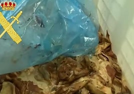 Parte de la carne encontrada en este pueblo de Salamanca.