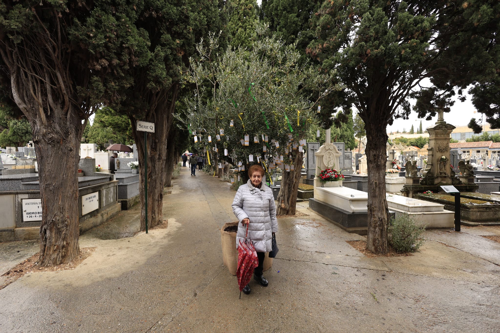 El día de Todos los Santos se celebra bajo el paraguas en Salamanca