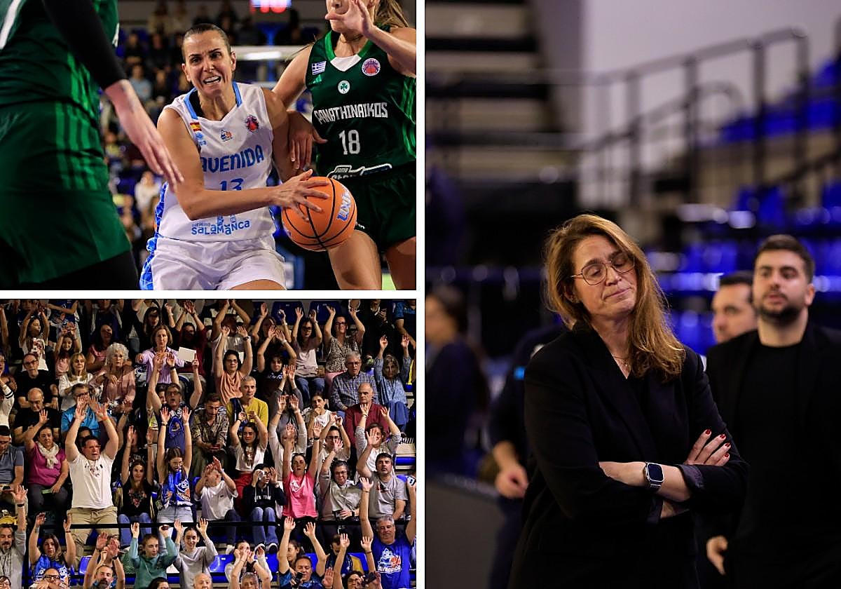 Una mala racha histórica: Avenida no empieza tan mal la liga desde hace 25 años con la camiseta de Halcón Viajes