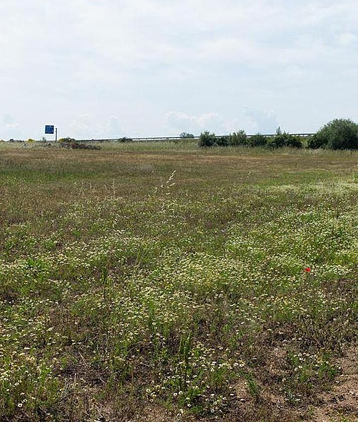 Imagen secundaria 2 - La parcela tiene acceso por la carretera nacional y da a la autovía en su extremo sur.