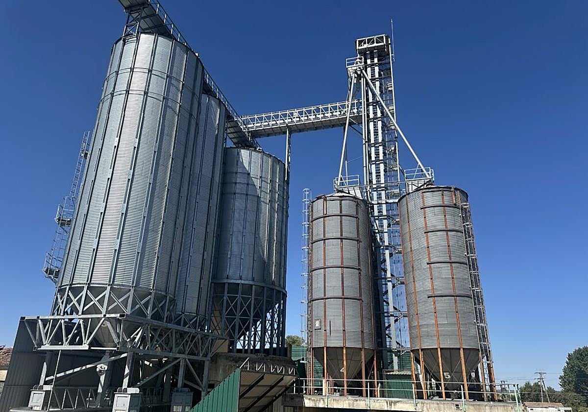 Imagen principal - La línea Salamanca-Portugal estrena en un pueblo un puerto seco capaz de mover trenes de 750 metros llenos de cereal