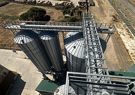 Instalaciones de carga de cereal en la terminal de la estación de La Fuente de San Esteban.