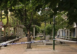 Imagen de una zona acordonada por la policía debido a la caída de una rama en Salamanca.