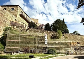 La empresa de un pueblo de Salamanca premiada como «la mejor del año»