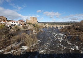 El Tormes en Puente del Congosto este 14 de noviembre.