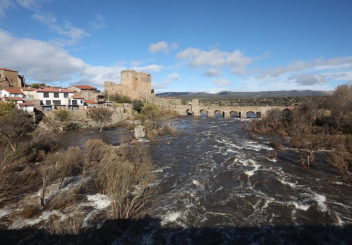 El Tormes en Puente del Congosto este 14 de noviembre.