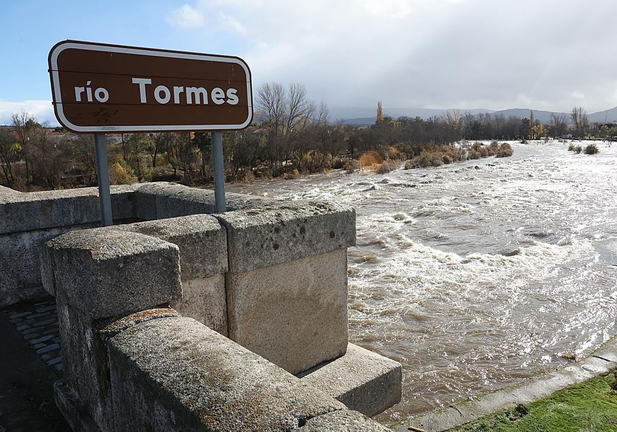 El Tormes a su paso por Puente del Congosto