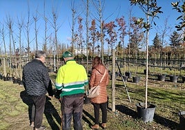 Visita de Ángel Manso a un vivero de Carbajosa.