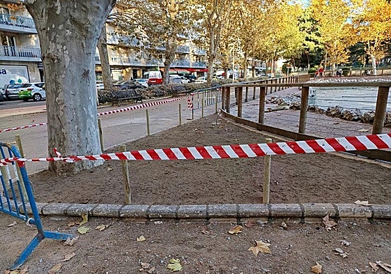 El pequeño jardín creado en la zona que se encharcaba.
