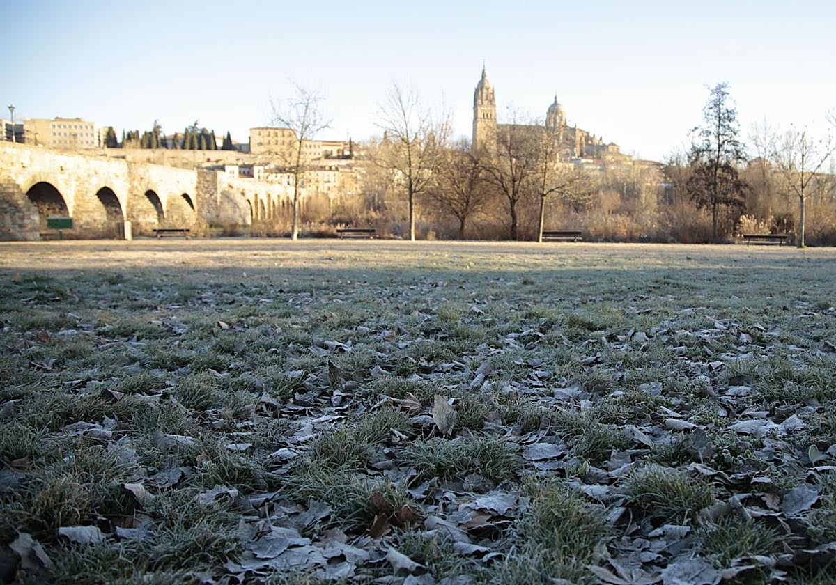 Helada en la ribera del Tormes.