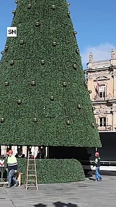 Colocación del árbol de Navidad en la Plaza Mayor de Salamanca